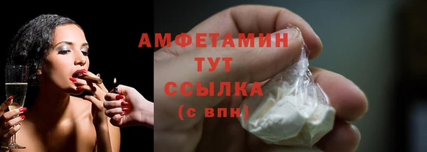дурь Ельня