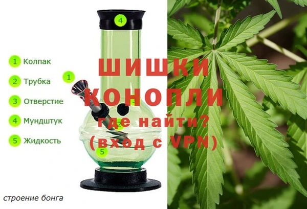 скорость Белокуриха